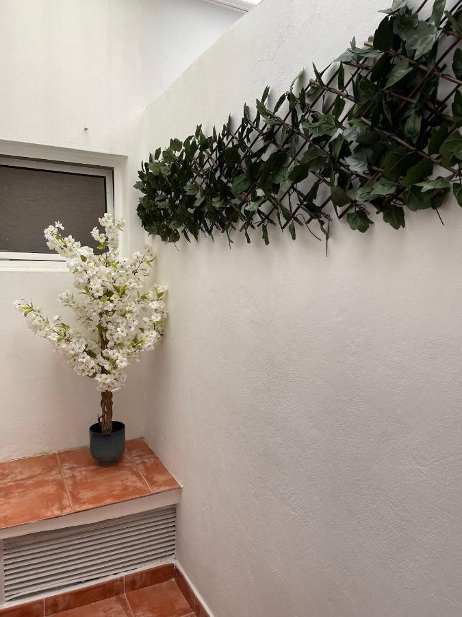 Dream Recova Lägenhet Santa Cruz de Tenerife Exteriör bild